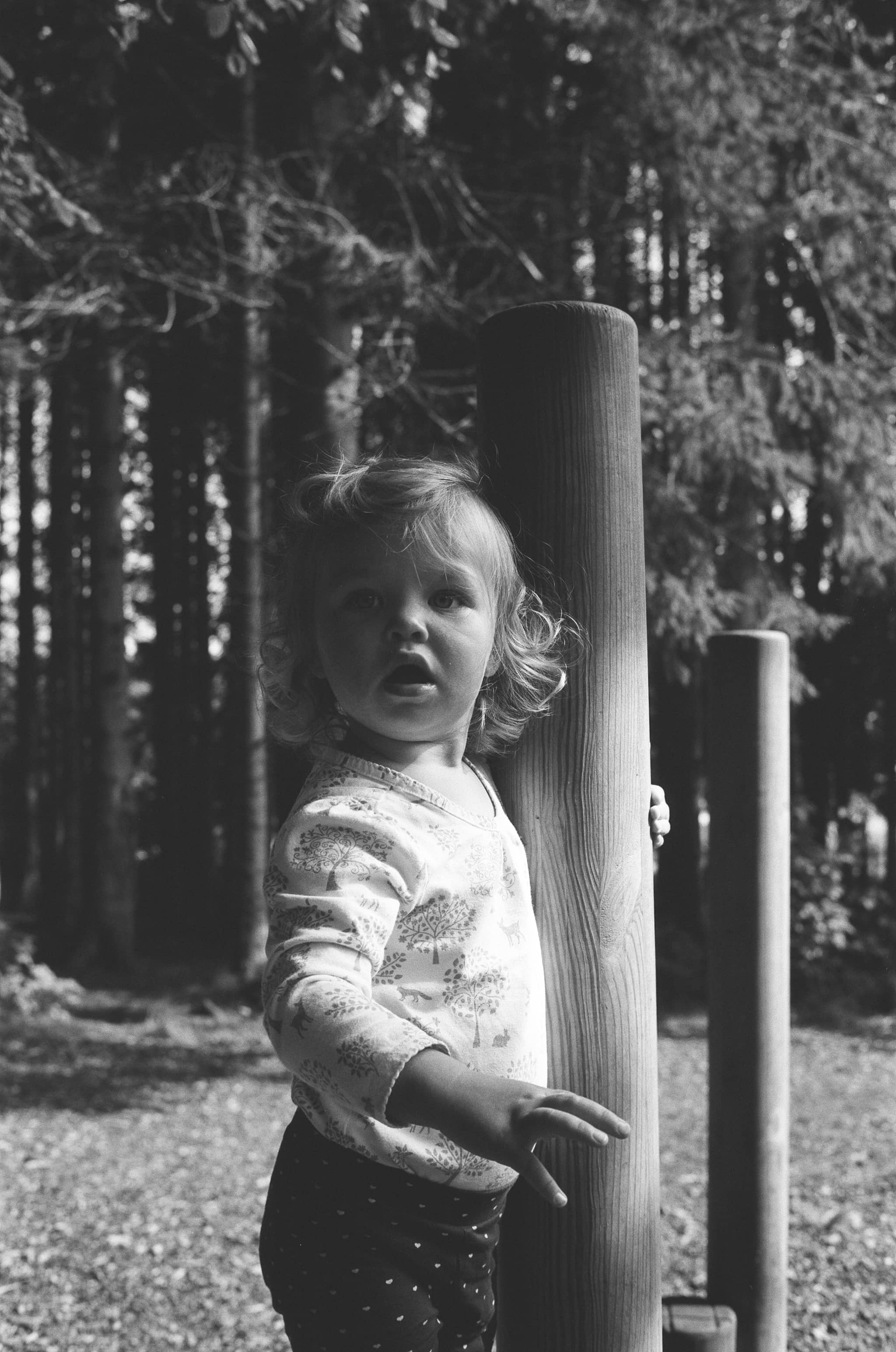 Woods + B&W is a favourite